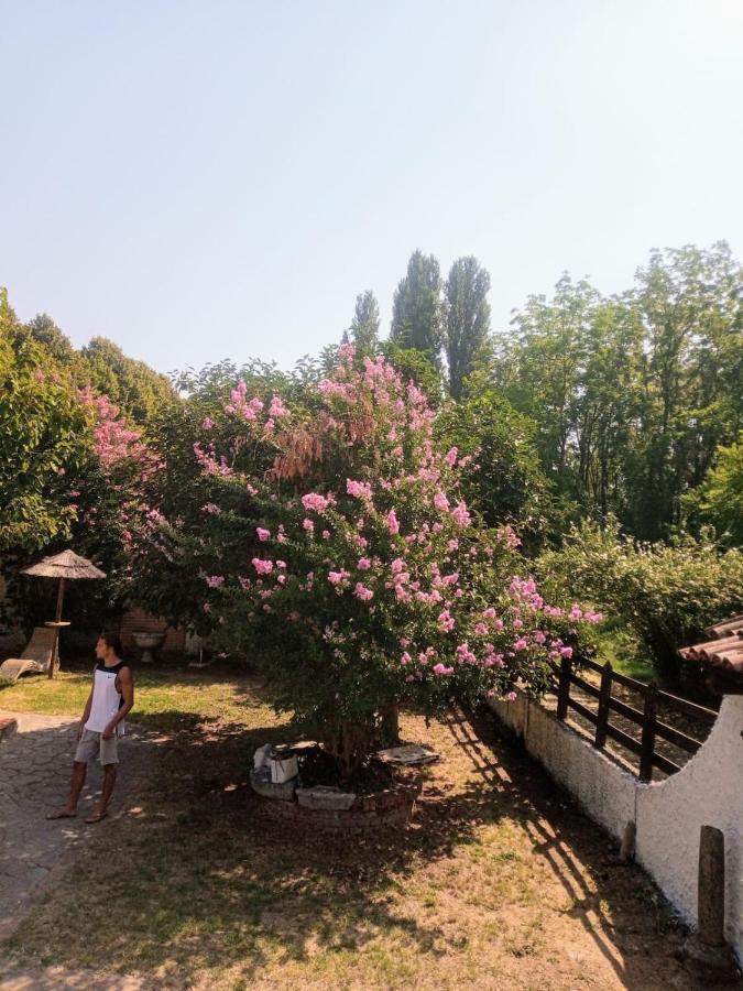 La Dama Con L'Ermellino B&B San Giovanni in Croce Kültér fotó