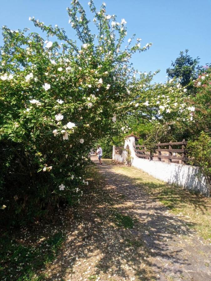La Dama Con L'Ermellino B&B San Giovanni in Croce Kültér fotó